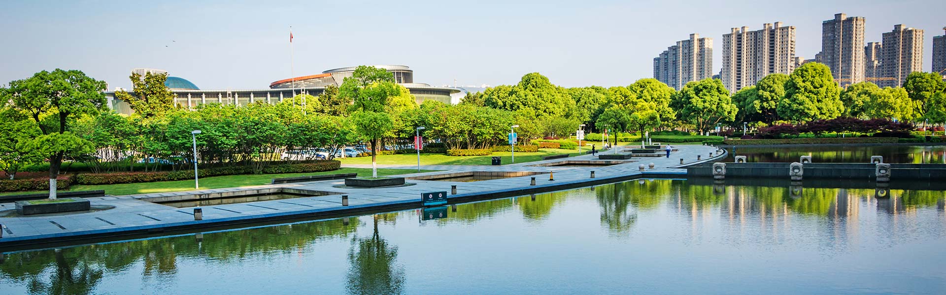 Chess lessons Orlando | Chess classes